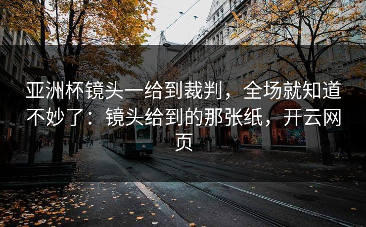 亚洲杯镜头一给到裁判,全场就知道不妙了:镜头给到的那张纸,开云网页