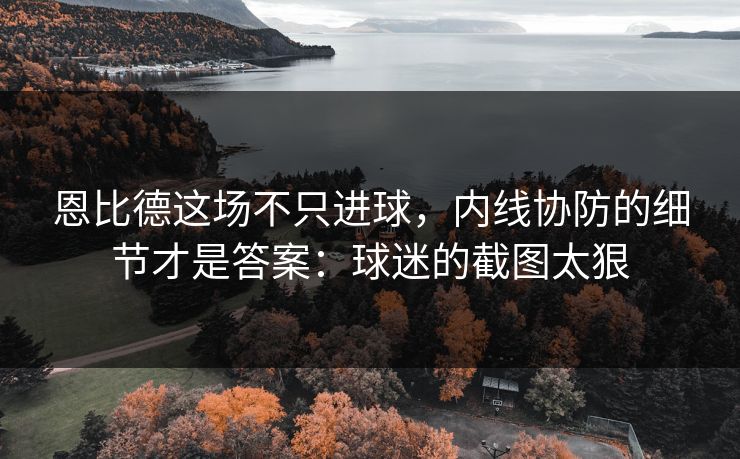 恩比德这场不只进球,内线协防的细节才是答案:球迷的截图太狠